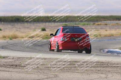 media/Oct-04-2025-OnGrid (Sat) [[44bd565ffa]]/Green Group/Grapevine/